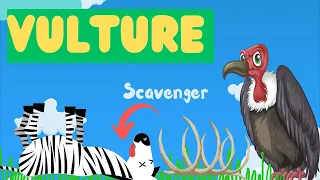 Vultures For Kids | Discovering the World of Vultures: Fun Facts for Kids!