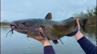 Top5 Videos Catching & Catfish on the Road Flooded - Amazing Fishing A lot FishTHANKS FOR WATCHING