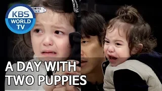 A day with two puppies [The Return of Superman/2019.06.09]