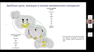 Магистры ФЧЖ доклады 13-15