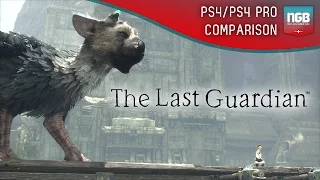 The Last Guardian PS4 Pro/PS4 Comparison - Are there any improvements?