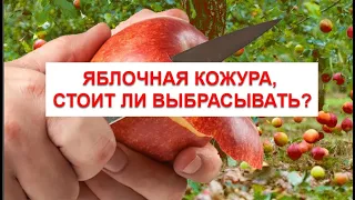 Яблочная кожура, стоит ли выбрасывать?