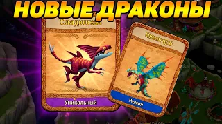 Dragons: Rise of Berk #105 ОТЛИЧНОЕ ВЫШЛО ВЫЖИВАНИЕ 😜