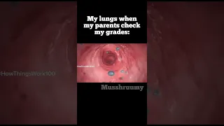 Lungs #memes