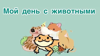 Мой день с животными❤️🌿