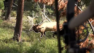 Our Favorite Elk Hunts From Land Of The Free Pt:1 (INSANE ELK CALL INS)