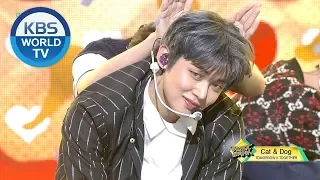 TOMORROW X TOGETHER - Cat & Dog [Music Bank/2019.04.26]