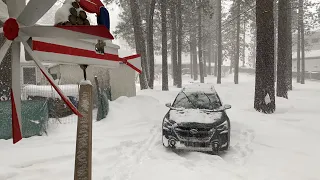 LIVE Biggest SNOW event in Decades for Big Bear, CA. Whole entire storm LIVE. 2/23/2023