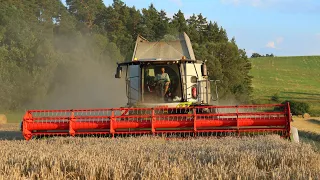 Žně 2023 🌾😍 | Claas lexion 6700  Claas lexion 650