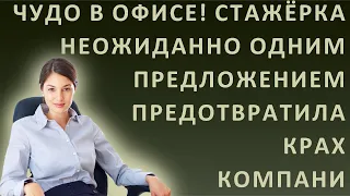 Истории из жизни. Чудо в офисе! Стажерка неожиданно одним предложением предотвратила крах компани