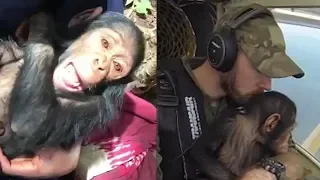 Pilot Rescues Baby Chimp And It's The Sweetest Thing Ever