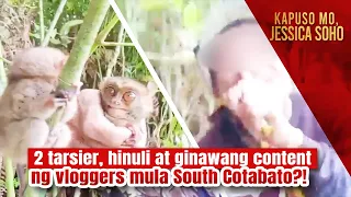 2 tarsier, hinuli at ginawang content ng vloggers mula South Cotabato?! | Kapuso Mo, Jessica Soho