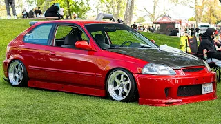 My civic hatch gets a new look for Weeniefest 2024