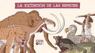 Sapiens: de animales a dioses. Una historia de extinción.