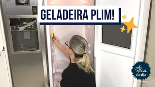 COMO LIMPAR GELADEIRA - E ORGANIZAÇÃO PASSO A PASSO | FLÁVIA FERRARI