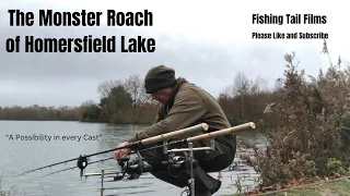 The Monster Roach of Homersfield Lake in Suffolk Winter Tails episode  @homersfieldlake7070 #roach