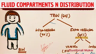 Fluid compartments and distribution | MEDICINE with DR SHAMAMA