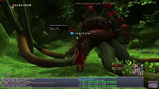 75 RDM/NIN - Voluptuous Vivian Solo (FFXI Eden)