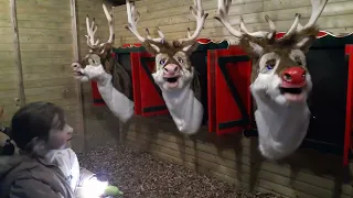 reindeer singing at cps