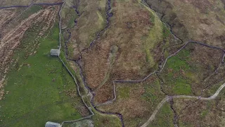 The land at Snaizeholme is now ours! - Woodland Trust