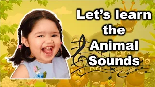 Learning the Animal Sounds