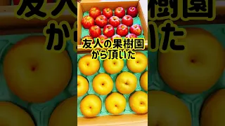 【ライフハック】スティック梨🍏林檎🍎#shorts