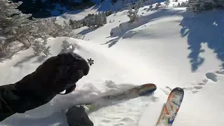 Skier Triggered Avalanche, Mt Blackmore - 12 Dec 2023