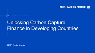 Unlocking Carbon Capture Finance in Developing Countries