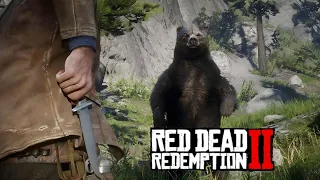 Red Dead Redemption 2 | How to kill a bear🐻with a knife🔥 without getting hurt👌🏼