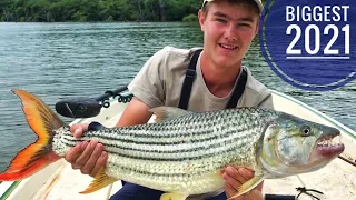 Catching a MONSTER Tiger Fish (the biggest of my life, again!)