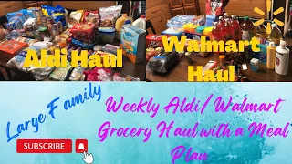 Large Family Weekly Aldi/Walmart Grocery Haul with a Meal Plan