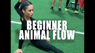 Beginner Animal Flow Sequence | FrancheskaFit