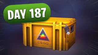 Opening a CSGO Case til a gold appears - DAY 187 #Shorts