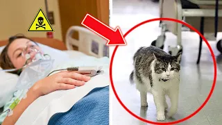 SURPREENDENTE! O Gato Pediu para Entrar no Quarto da Paciente, Logo Depois ela Perdeu sua Vida.