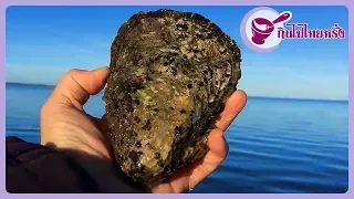 EP 4: Finding giant oysters | Yainang