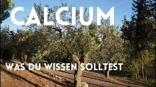 Calcium - was du wissen solltest !!