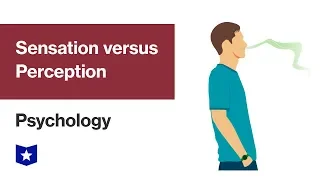 Sensation versus Perception | Psychology