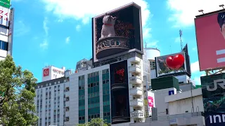 【4K HDR】渋谷で巨大な秋田犬の新作が3Dビジョンで登場！