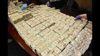 The Money Count - Over 15 Millions Dollars In Cash