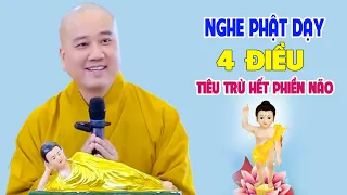 4 Điều Phật Dạy Tiêu Trừ Phiền Não - Pháp Thoại Thầy Thích Pháp Hòa