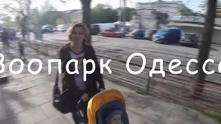 Зоопарк Одесса  2017 год