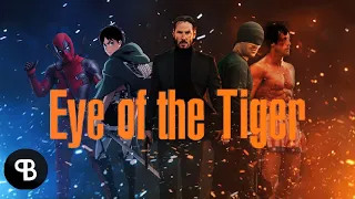 Eye Of The Tiger || Multifandom