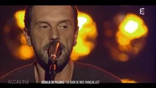 Alcaline, Le Concert - Gérald de Palmas