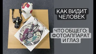 Как видит человек. Что общего между глазом и фотоаппаратом?