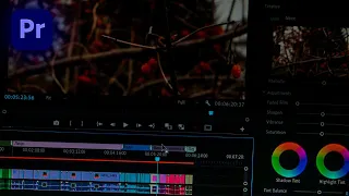 Основы Цветокоррекции в Premiere Pro 2022 Lumetri Color