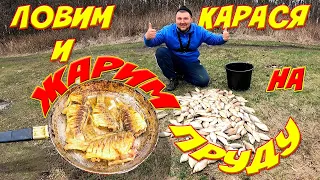 НА ЗАБРОШЕНОМ ПРУДУ ВЕДРО КАРАСЯ НА ФИДЕР!