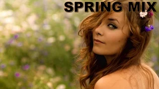 Spring Mix - FL4SH EDM | Electro,House |