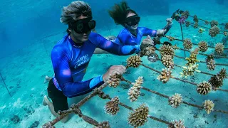 Working Together to Restore Coral Reefs in Tahiti | WSL One Ocean