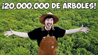 Plantamos 20,000,000 de Árboles | Mi Proyecto Más Grande