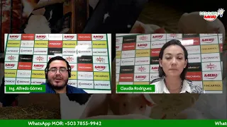 Webinar Aspectos Claves en la Nutrición de Pollos de Engorde